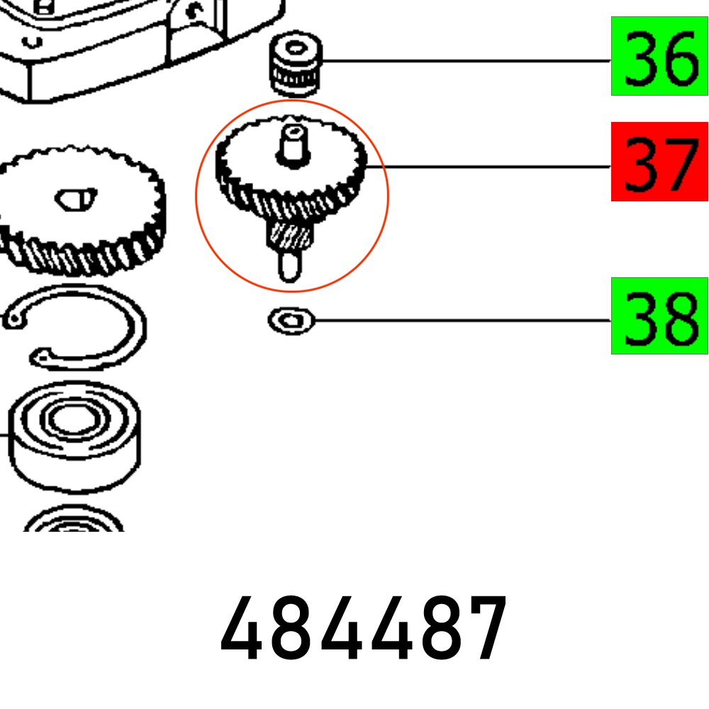 FES484487