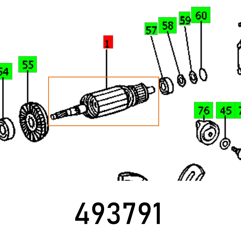 FES493791