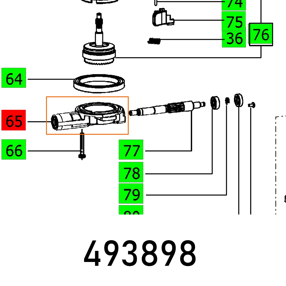 FES493898