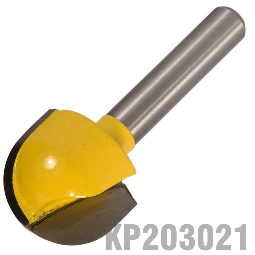 KP203021