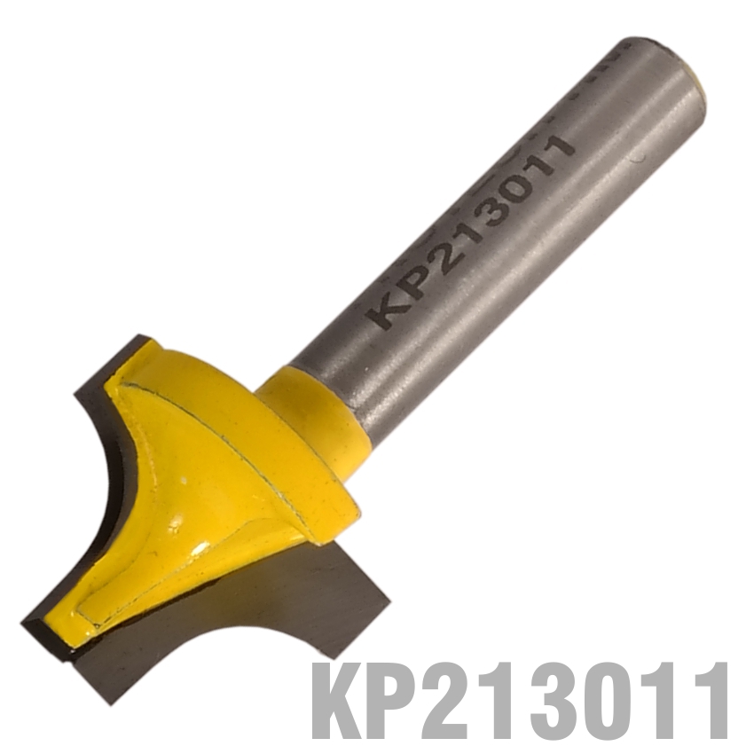 KP213011