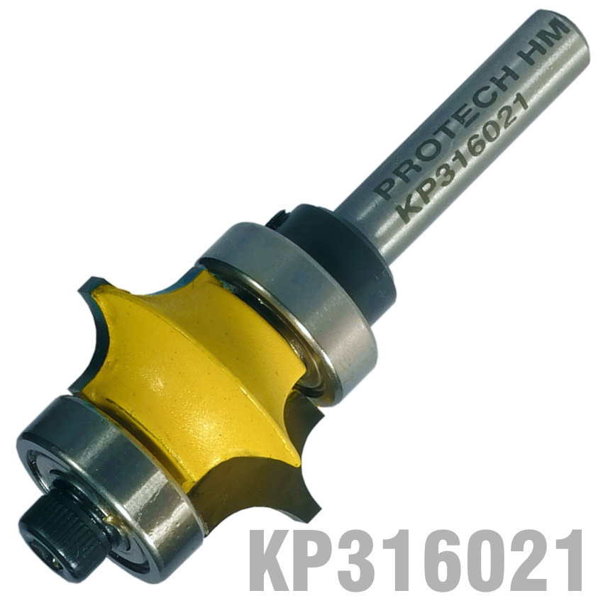 KP316021